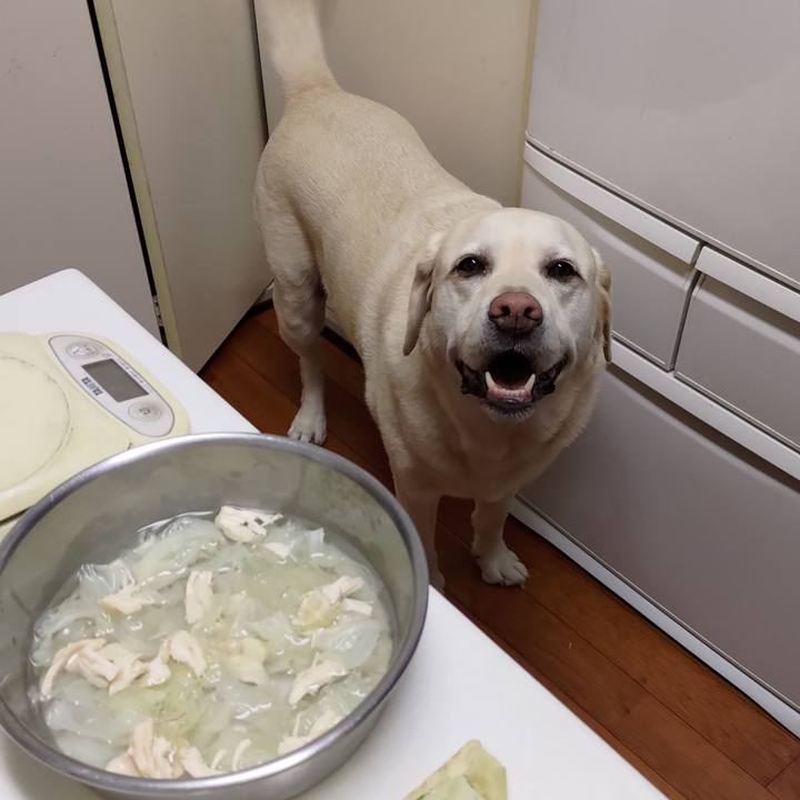 Cc7d374d eee5 45b5 992f a638c8a21f73 1724153624323