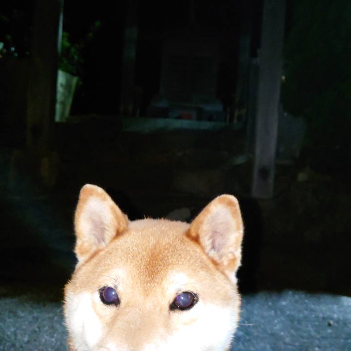 Cc7d4991 2de4 4078 9c26 09f6d22b58ee 1762639572007