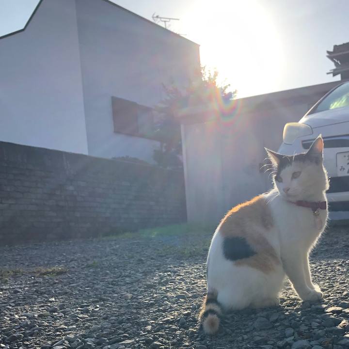 Cc7d5592 a1fa 43ef 90e8 2467f6a2313c 1633561601279