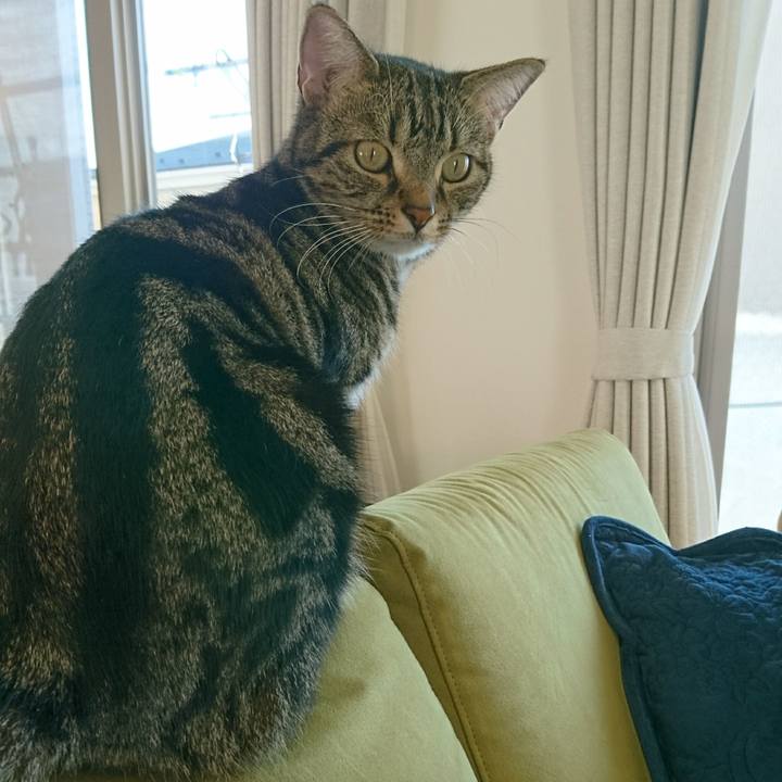 Cc7d7f7c d988 460f bf82 2b9ecb54223f 1513576279156