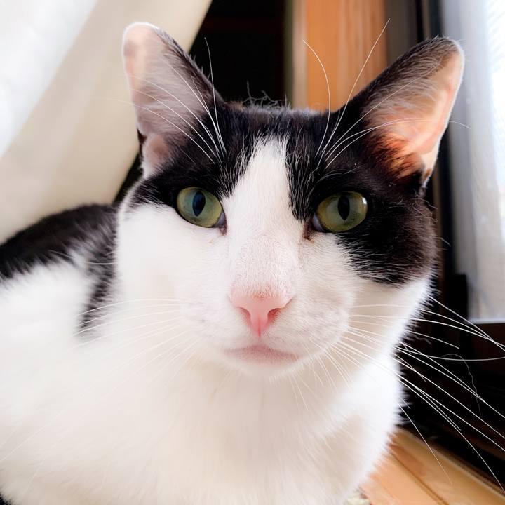 Cc7d85dc 2228 4052 ac8e 1394bca6da77 1563241364734