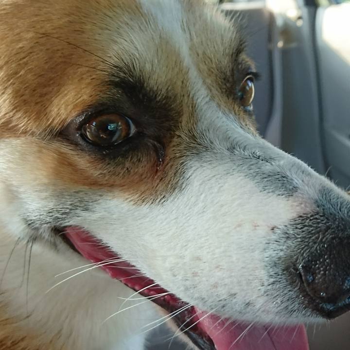 Cc7d96be 1c2e 4ff3 aa14 29b2e04ce127 1598651803353