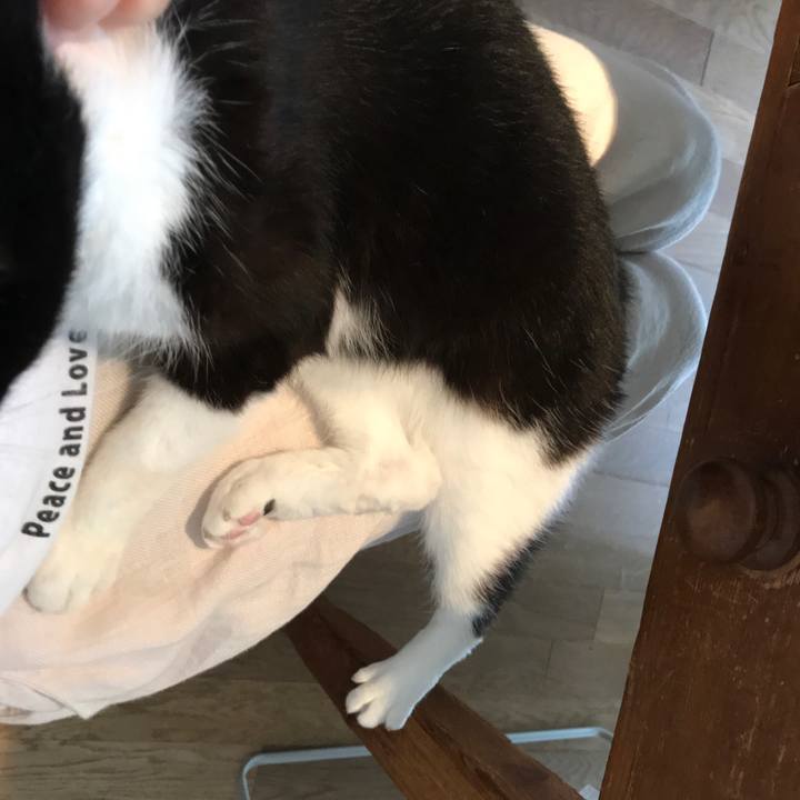 Cc7d983f 43ef 40bc b68b bcfdd9510135 1532749834501