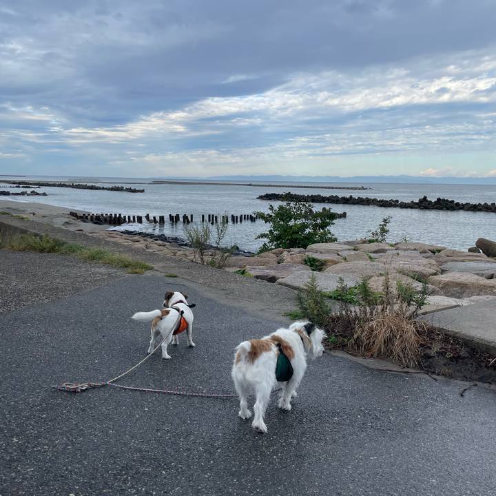 Cc7dc557 0d19 4e17 b49e 0e60b84cf1d9 1696374979588