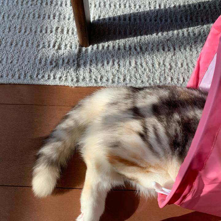 Cc7dce8f 197c 4a4b ac73 3afe7317aa90 1707608627665