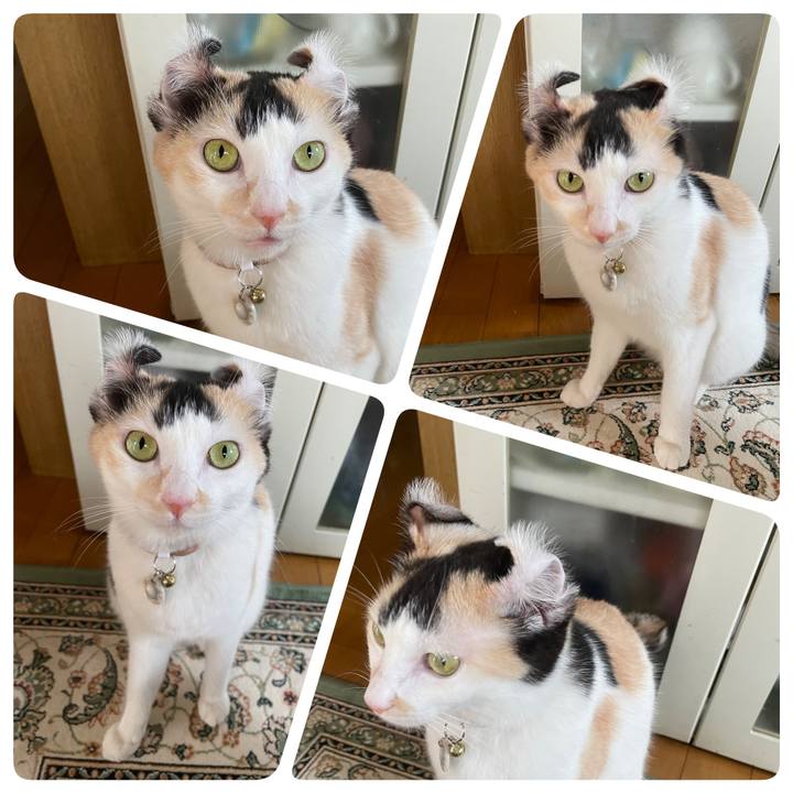 Cc7dd17e 53da 4173 819b a1d314b713cf 1695187681245