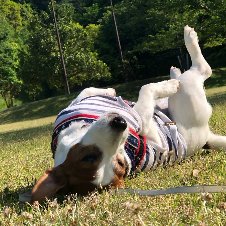 Cc7e0ac3 2eff 4578 b9bc 28f3054fa030 1684146567446