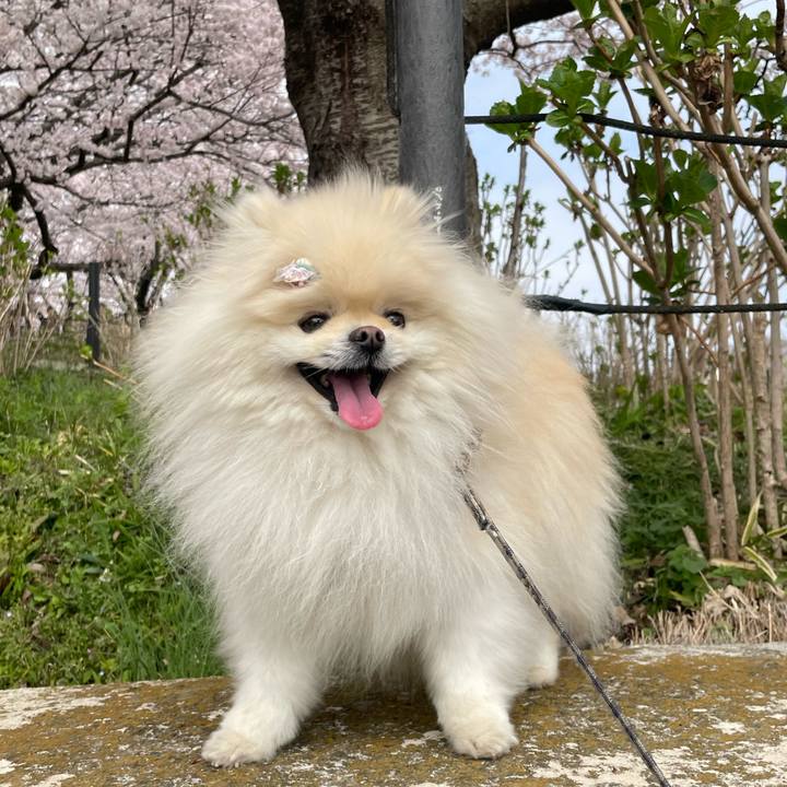 Cc7e0eba 590e 4ac6 9f59 f8bc1826f888 1648684917911