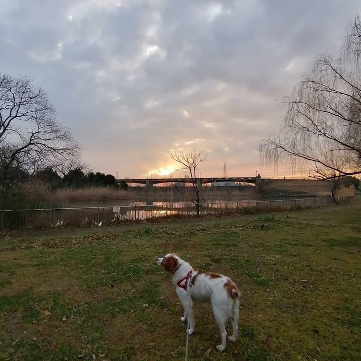 Cc7e42af b261 4bbd b5cf 003271ac69e1 1581680506599