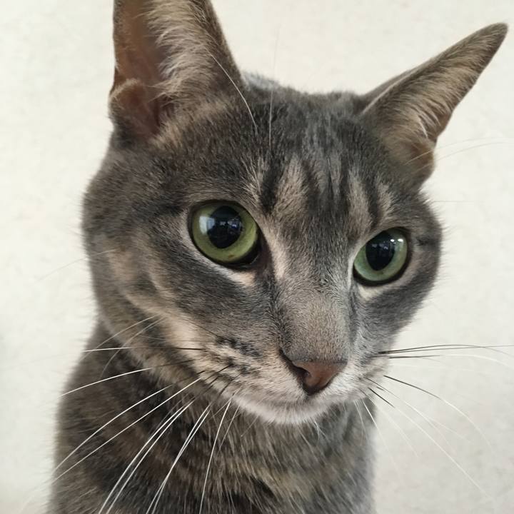 Cc7e4437 1035 44c2 8d09 56fa670b5bf8 1549844886867