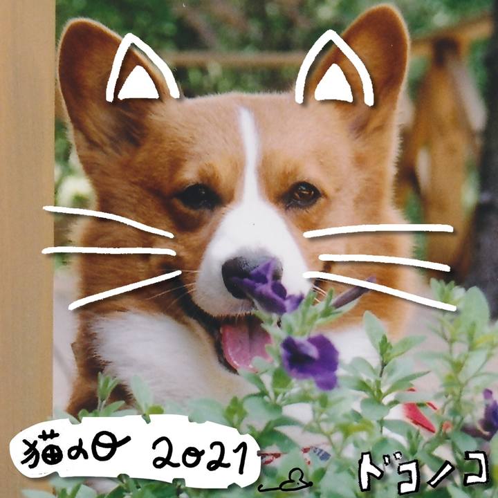 Cc7e5451 9252 4d4b 9b12 95d8e51b1b69 1613978226073