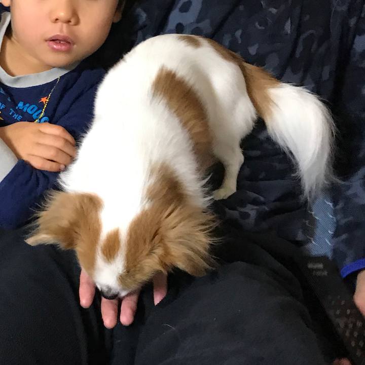 Cc7e7c8f cb4f 4a69 88fe 2d18f12f68d2 1512310135662