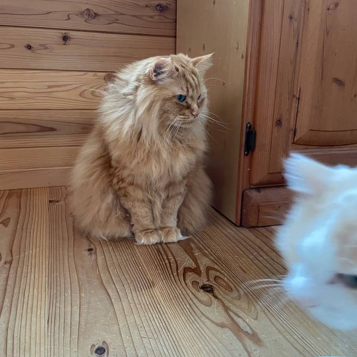 Cc7e8e59 cbd2 4e29 ad3d 873e39281c58 1707518080784