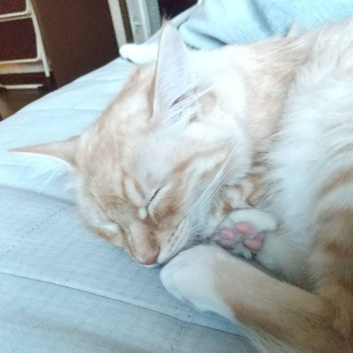 Cc7ec2d8 9899 4851 96f8 d4de63951747 1614037034816