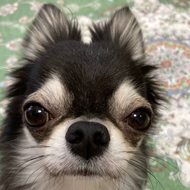 Cc7f2a39 20fa 44c8 91cb 7ecd0df09e85 1665874757575