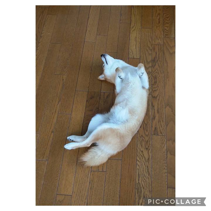 Cc7f96cc 9d8b 4a23 934c 3de80afdecdb 1719279127261