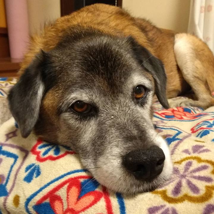 Cc7fac75 b187 4014 a1ac f14e19515c5f 1575447500555