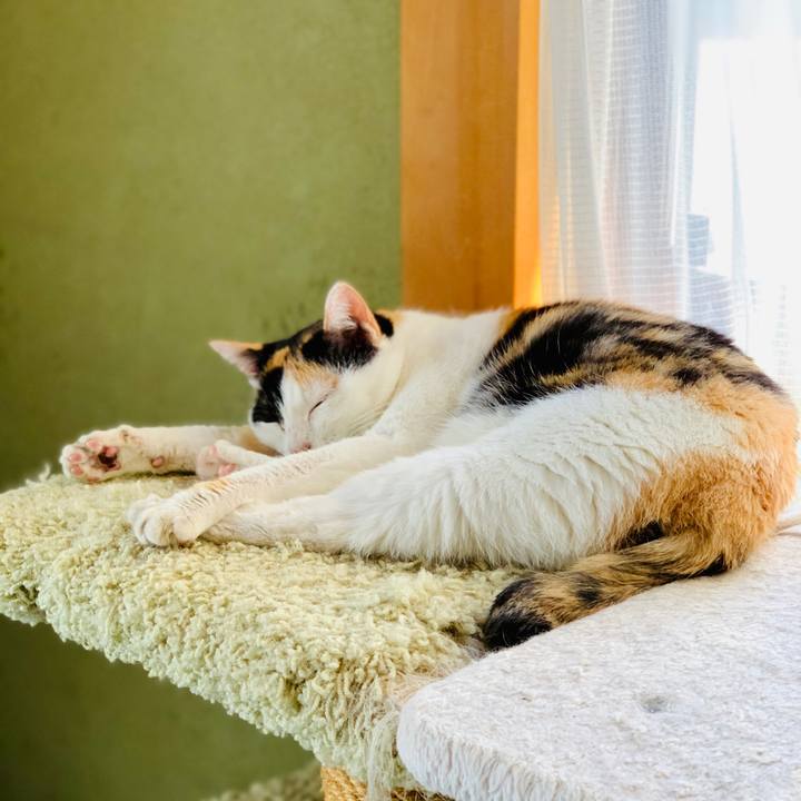 Cc7fd642 23a7 49f0 949a b68f6bc72b5b 1607653634737