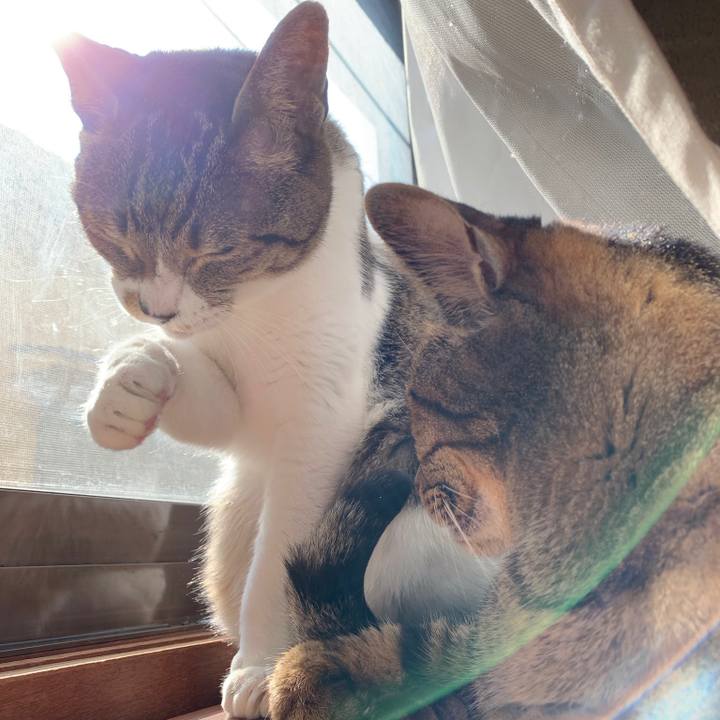 Cc7fe3b2 c754 46c5 a427 12965d053a43 1581211150149