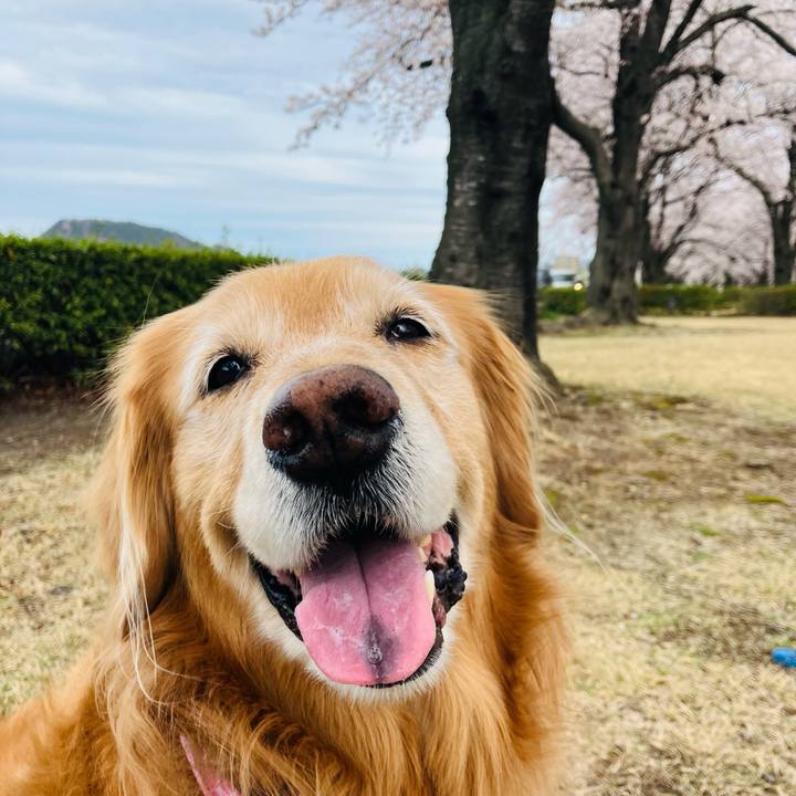 Cc7fe5e4 2b1a 4b1f a7cb 10b2ce3d314f 1775377989019