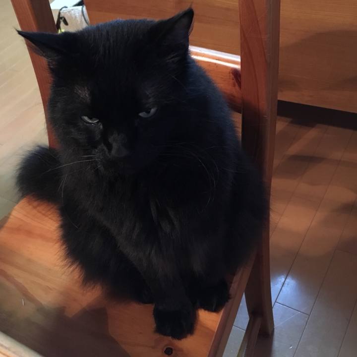 Cc7ffa2a a016 47e7 9c9b efb88a98aa3a 1562191565330