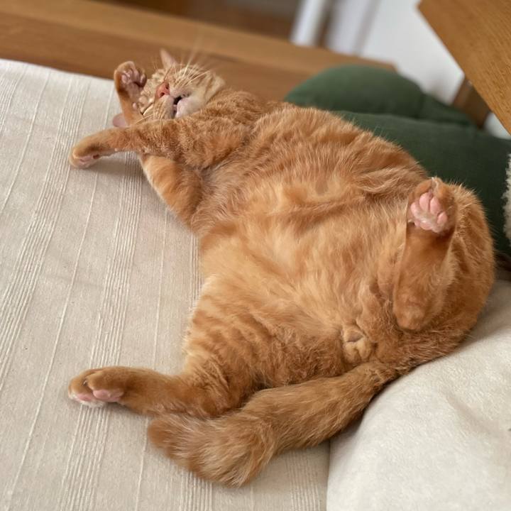 Cc801df5 f5b0 43a7 85ed a98dd45a109a 1655709228310