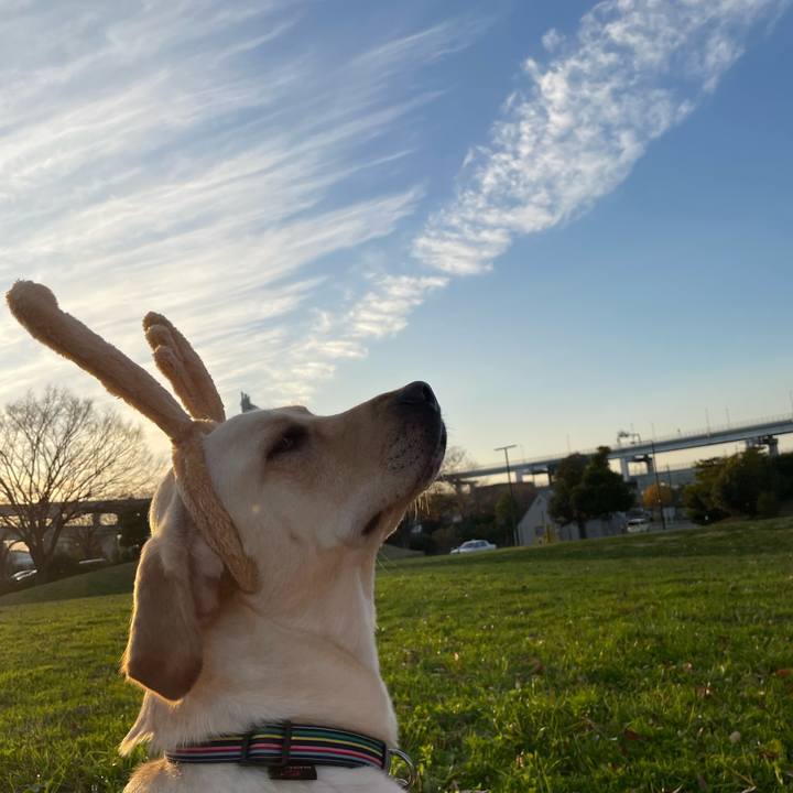 Cc801ed8 b6a9 4397 b03f 992e9525d89b 1670580223515