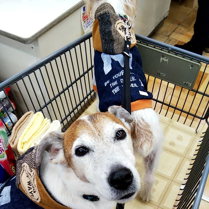 Cc805ce2 a6b0 4312 b6b7 cab2b631e574 1547421080608