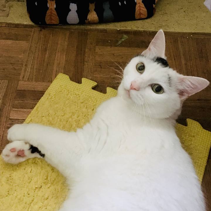 Cc80815d fe07 4483 813e 3657d103f26e 1564990667772