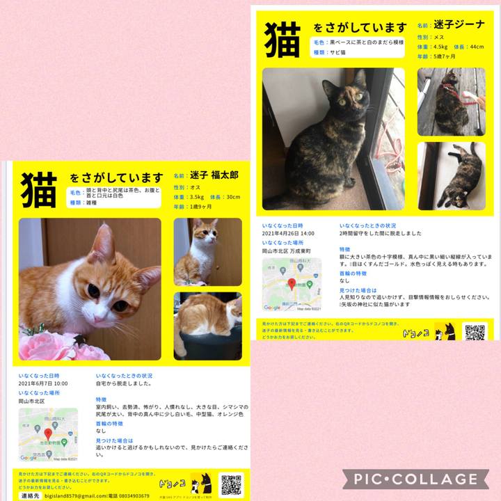 Cc8084cb 13b0 45e3 a020 197c14261ab5 1624760050373