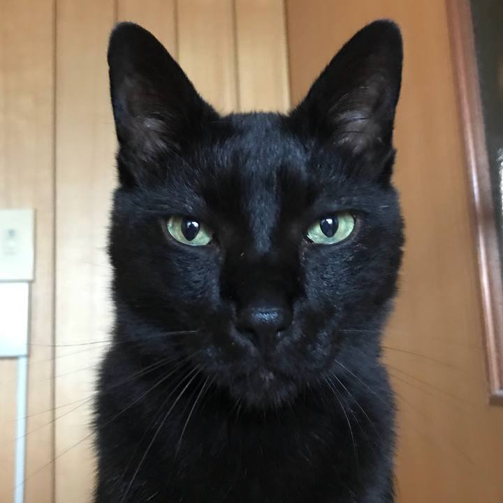 Cc80971a 4c22 44ae 9bc9 751c7c91a165 1528419271477