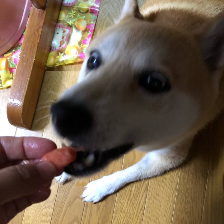 Cc80ac0c 3026 4336 89c2 a0f0fb7d3bf7 1564316193124