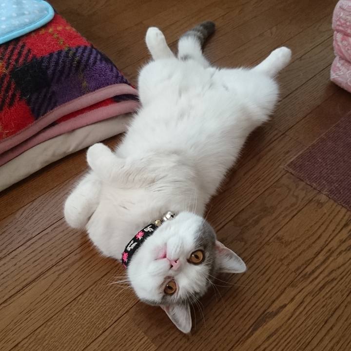 Cc80c8bc 184a 4e07 8bc3 d3d12263250b 1684842122600