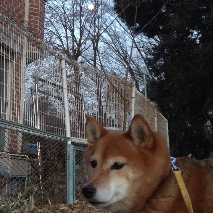 Cc80cc32 45e9 49af b584 b7dc9b8b94a8 1550490031628