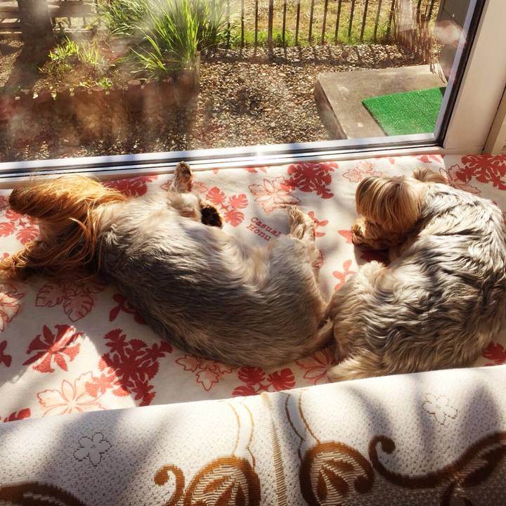 Cc80cc9b f4af 44c0 8149 3624cdfd4a78 1536706540362