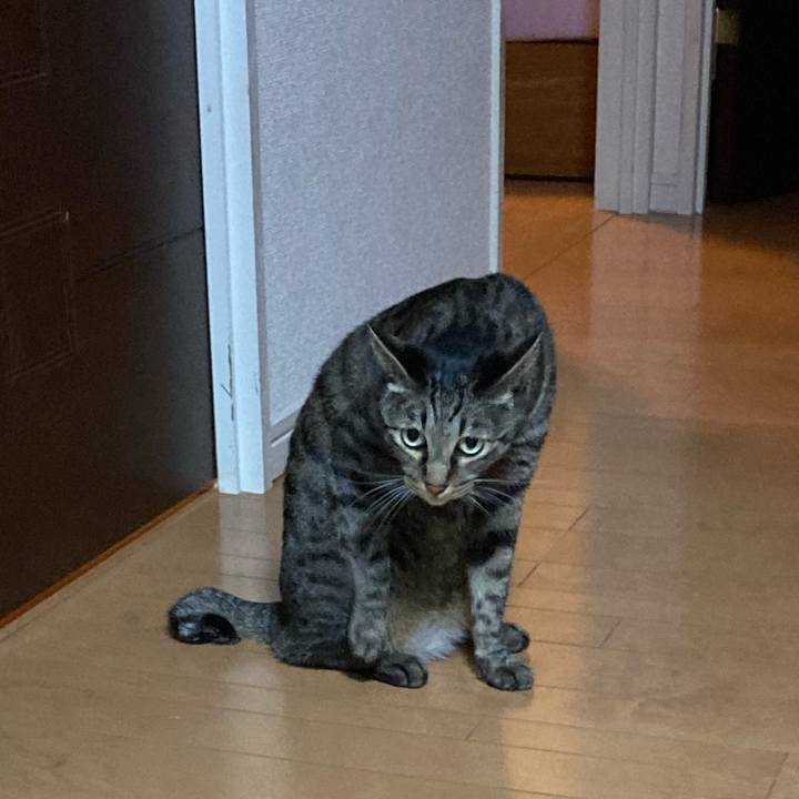 Cc80e1cd 2398 42a8 8e56 f39e201d3f32 1601892204403