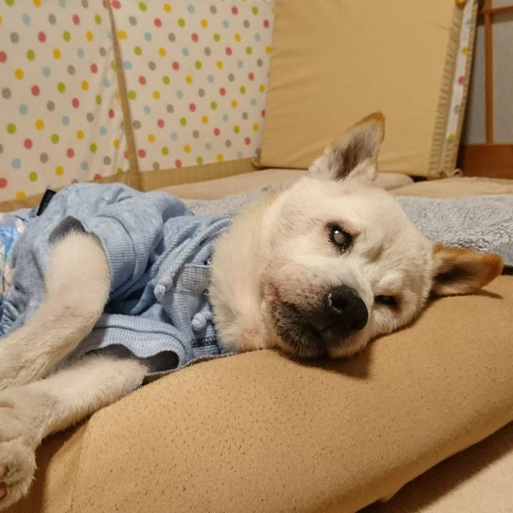 Cc80efe5 10e0 4361 9879 d2f8fe186a4a 1534221559986