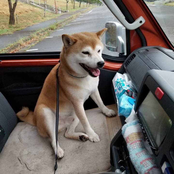 Cc813742 2880 4250 95e7 856bda058d28 1599206170329