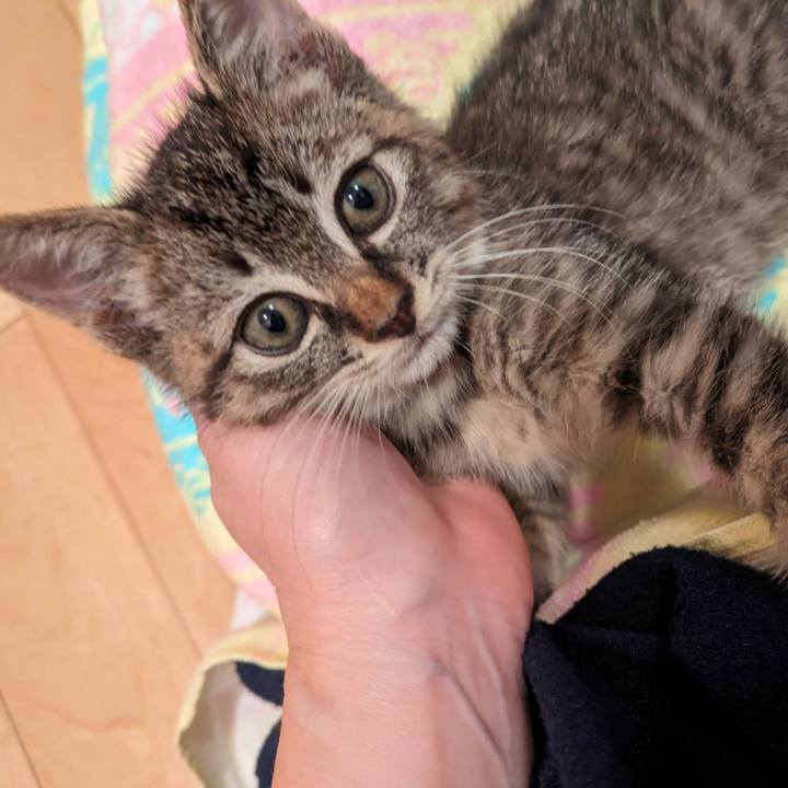 Cc818481 16e8 4728 95a9 e6427c657640 1728972901464