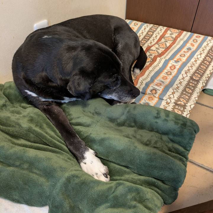 Cc818cb0 92e1 4f05 ba2d 9cf13774f0ff 1742641536990