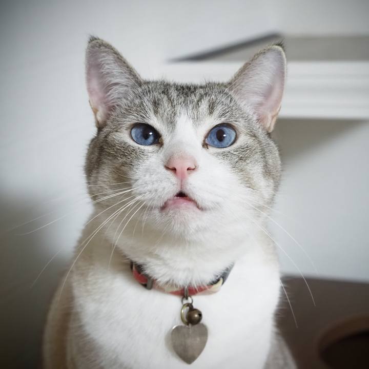 Cc81c2f7 02a4 4377 912e f6e27d1c3bce 1596325592108