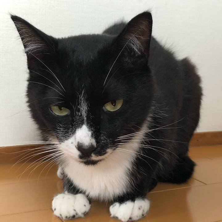 Cc81e194 212d 4f27 b71d b83dc258c743 1565407468437