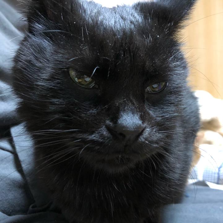 Cc81ef76 9dc3 4ec1 b754 e9ac378ed9cd 1607068074483