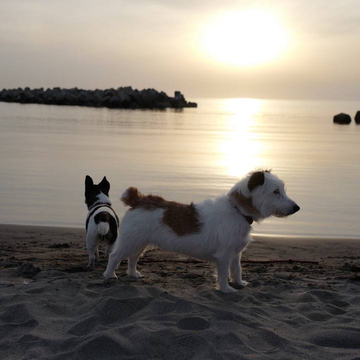 Cc820ec9 35d9 4fb7 ab80 3bd5e1f58e0b 1556079442775