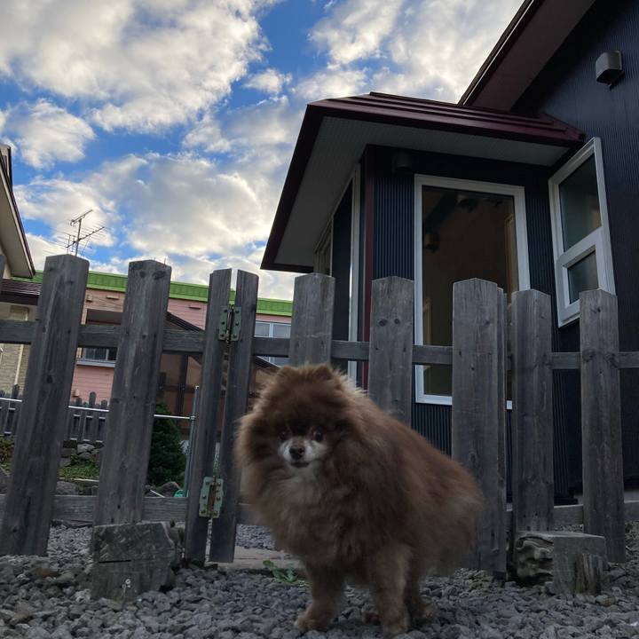 Cc821d31 68d1 4628 8844 dc42778d9e26 1728344680805