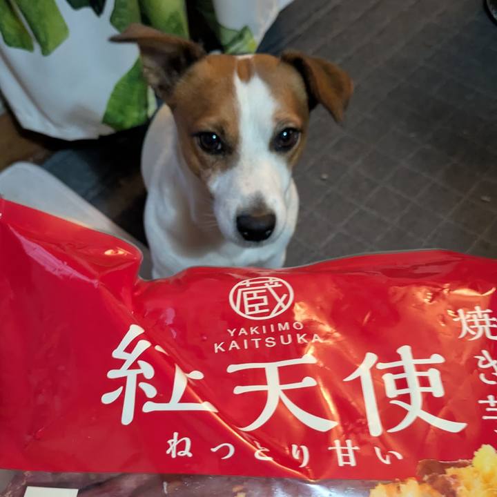 Cc82231e a5ef 4c00 a3ba ba6376752e66 1763868759866