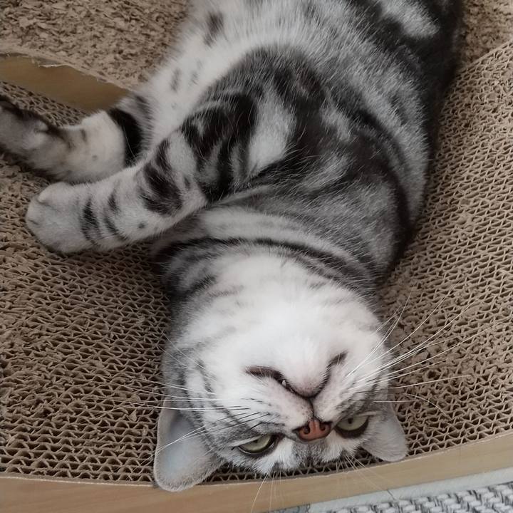 Cc822f7a a000 4d5b 96f3 8a00f5174038 1633952922211