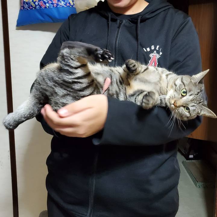 Cc8244d1 ca10 4fcf 96f8 a2bcaf915f91 1697126123024