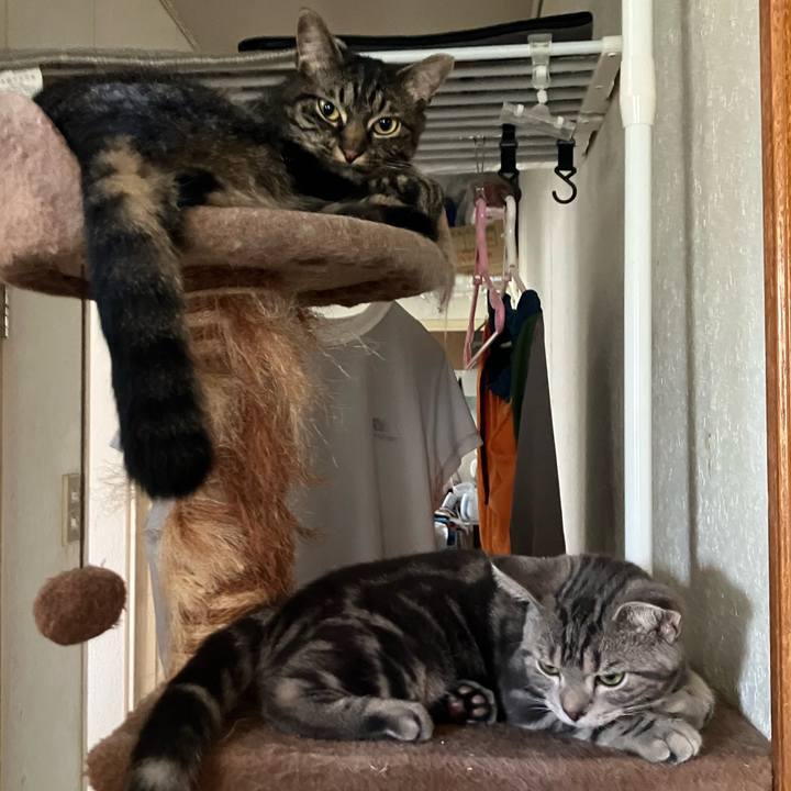 Cc8248c1 94ba 4df1 bb75 e4b9d602edf6 1753003691225