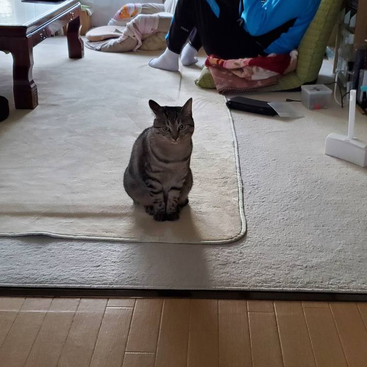 Cc824c2a 5d35 4bb9 8a60 54d1d0570f90 1696340752141